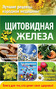 Щитовидная железа. Издательство ОЛМА Медиа Групп. 